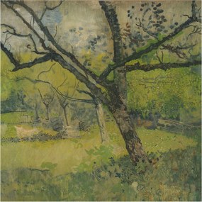 Stílusos Dekoratív Fotótapéta Flizelin Zöld tájkép 250x250 Ragasztó