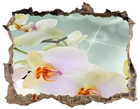 3d lyuk fal dekoráció Fehér orchidea nd-k-91133337
