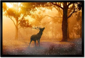 Poszterek keretben 60x40 Szarvas az erdőben