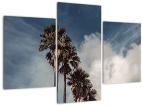 Kép - Pálma dráma (90x60 cm)