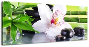Gario Vászonkép Fehér orchidea és kövek Méret: 100 x 70 cm