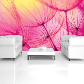 Fotótapéta - Absztrakt művészet (152,5x104 cm)
