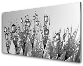 Üvegkép Absztrakció Nature Plant 120x60cm 2 fogas