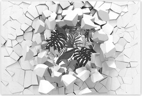 Poszterek 120x80 Fekete-fehér monstera