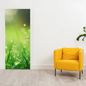 Fotótapéta ajtóra - Harmat a füvön (95x205cm)