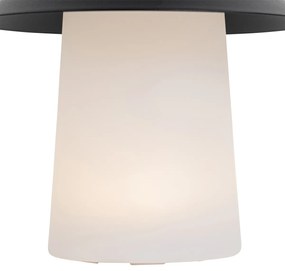 Két darabos asztali lámpa készlet gomba alakú fekete újratölthető LED-del - Ivan