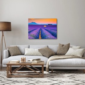 Kép - Levendula mező (70x50 cm)