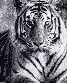 ANIMAL Tigris Strandtörölköző 165x90cm