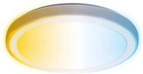 Aigostar - LED Fürdőszobai mennyezeti lámpa LED/24W/230V IP44 + távirányítás