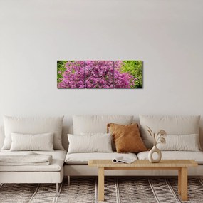 A réten virágzó fa képe (órával) (90x30 cm)