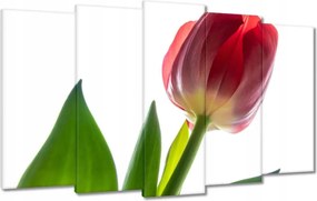 Vászonkép 100x60 Piros tulipán Virág