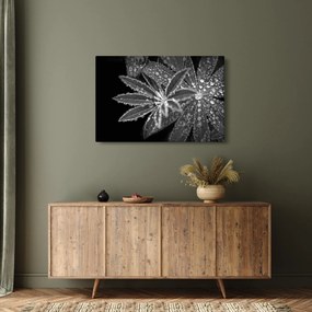 Kép - Cseppek (90x60 cm)