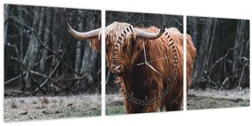 Kép - Skót tehén 2 (órával) (90x30 cm)