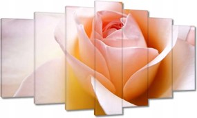 Vászonkép 140x80 Finom rózsa