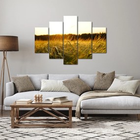 Harmatos fű képe (150x105 cm)