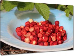 Festmények 120x80 Erdei szintek