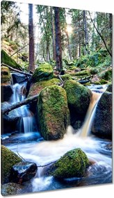 Vászonkép 80x120 Hegyi patak Patak Tájkép