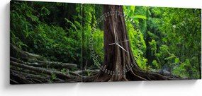 Kép - Öreg fa gyökere (órával) (90x30 cm)