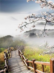 Fotótapéta Virágzó cseresznye híd a hegyekben ködben természet 184x254 +ragasztó
