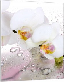 Üveg Vágódeszka 40x52 Orchidea Konyha