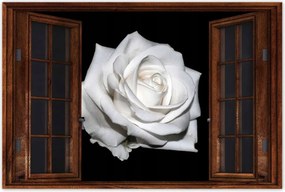 Poszterek 90x60 Rózsa Virág Virágok Rózsa