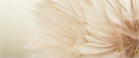 Kép - Virág részletek (120x50 cm)