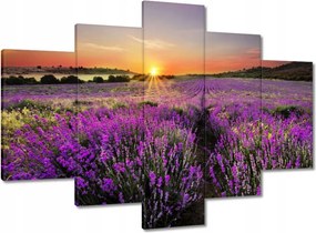 Festmények 150x105 Levendula rét