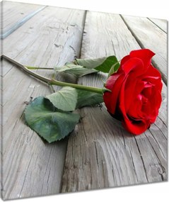 Vászonkép 60x60 Vörös rózsa a deszkákon
