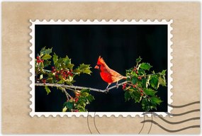 Poszterek 90x60 Madarak