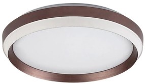 Rabalux 71159 - LED Mennyezeti lámpa FONTANA LED/24W/230V 3000K 71159