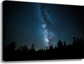 Vászonkép Kozmosz Éjszaka Erdő Köd Természet Csillagászat 60x40