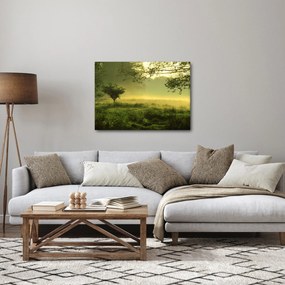 Kép - Ébredő erdő (70x50 cm)