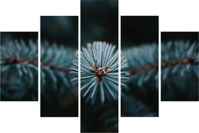 Egy tűlevelű fa gallyának képe (150x105 cm)