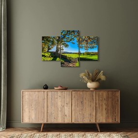Kép - mező, kilátás (90x60 cm)
