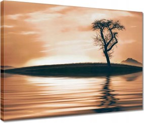 Vászonkép 40x30 Fa a szigeten