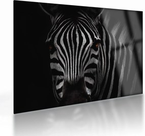 Zebra képe (üvegen) (70x50 cm)