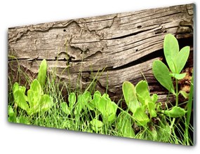 Üvegkép falra Leaves of Grass Flowers 100x50 cm 2 fogas