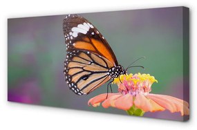 Canvas képek Színes pillangó virág 100x50 cm