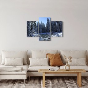 Havas erdő képe (90x60 cm)