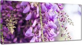 Vászonkép 115x55 Lila virágok Virágok