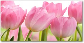 Fotótapéta üvegfalra Rózsaszín tulipánok 140x70