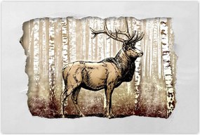 Poszterek 120x80 Szarvas a nyírfaerdőben