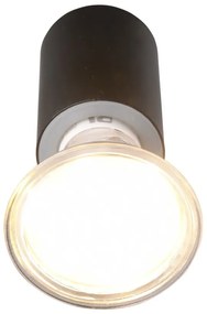 Matt fekete fali lámpa (hosszúság 10 cm) Lorenzo – Trio