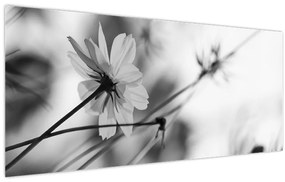 Kép - Fekete-fehér virágok (120x50 cm)