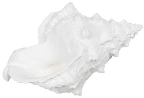 Poligyanta szobor (magasság 12 cm) Seashell – Ixia