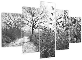 Kép - Mezők télen (150x105 cm)