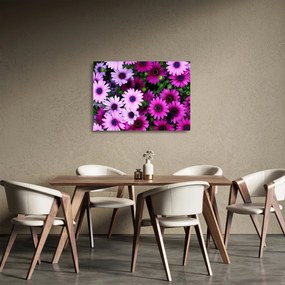 Kép - Virágok (üvegen) (70x50 cm)