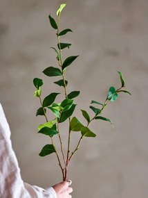 Eukaliptusz műnövény (magasság 110 cm) Eucalyptus – Bloomingville