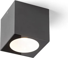 RENDL SENZA SQ mennyezeti lámpa antracit átlátszó üveg 230V LED 6W IP65 3000K