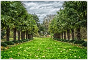 Poszterek 185x125 Tájkép